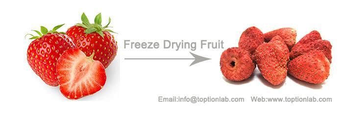vacuum freeze drying strawberry.jpg