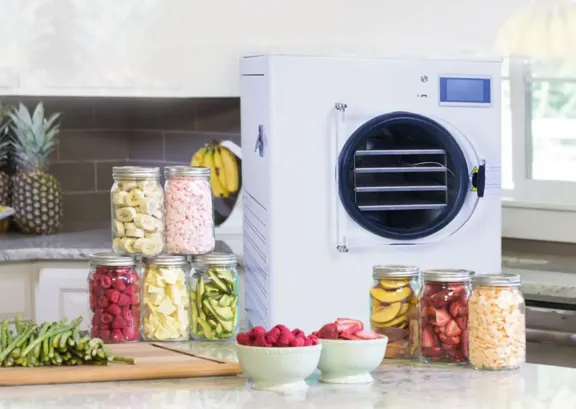 freeze drying freeze drying